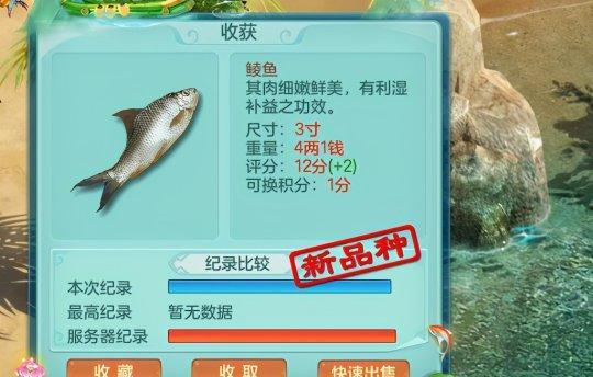 《神武》游戏成长全流程探秘（深入解析《神武》游戏成长的奥秘）