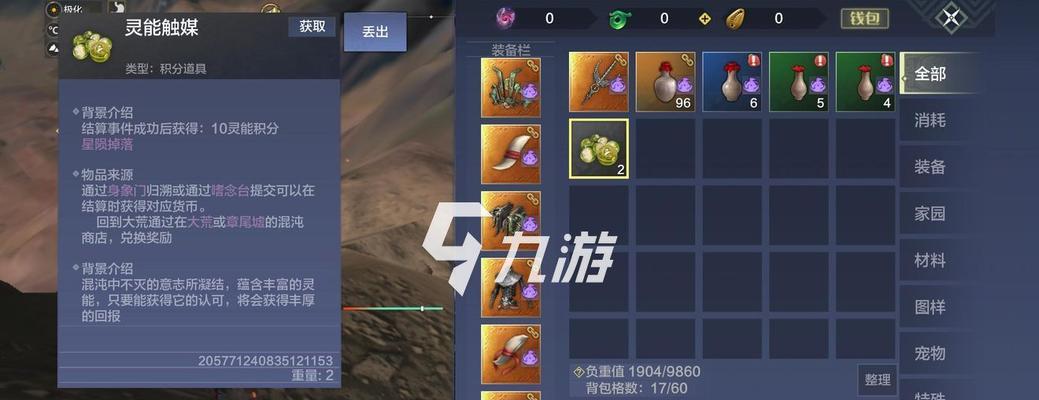 揭秘妄想山海注灵套路的神秘力量（游戏中的独特策略和技巧让你事半功倍）