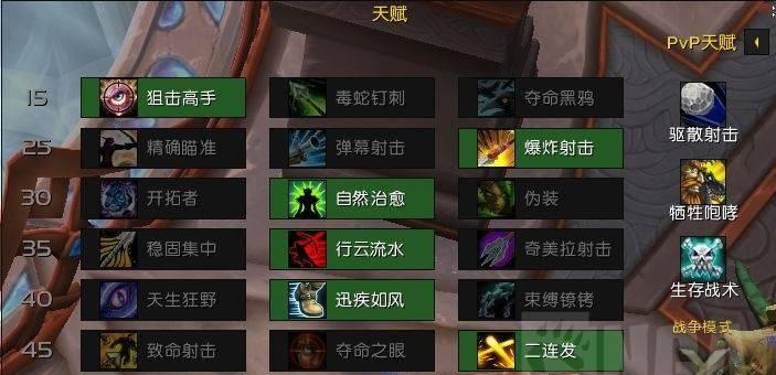 魔兽世界80级大米副本哪些职业表现最佳？如何选择适合的职业？
