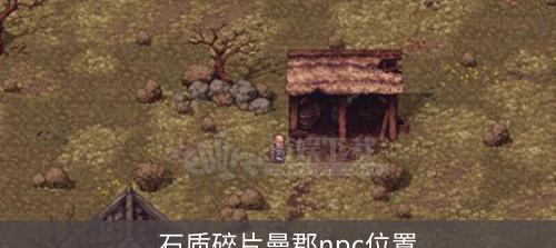 石质碎片开局技巧是什么？新手如何掌握石质碎片玩法？