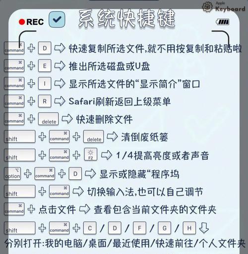 劲舞团快捷键如何恢复默认设置？操作步骤是什么？